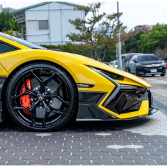 Mansory Style Dry Carbon Fiber Front Canards Side Panels For Lamborghini Revuelto 2023-ON