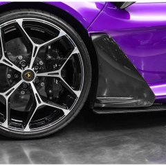OEM Style Dry Carbon Fiber Door Side Blades Panels For Lamborghini Revuelto 2023-ON