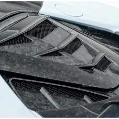 F9XX Mansory Style Dry Carbon Fiber Rear Engine Radiator Plate Set For Ferrari SF90 Spider