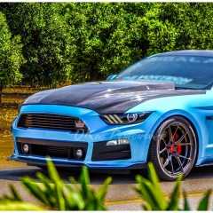 Supercharged Style Carbon Fiber Cowl Hood For Ford Mustang Gen6 S550.1 2015-2017