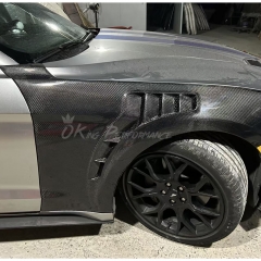 TPF Style Carbon Fiber Fender For Ford Mustang Gen6 S550.1 2015-2017
