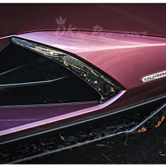 OEM Style Dry Carbon Fiber Side Skirt Air Intake Trim For Lamborghini Huracan EVO & EVO RWD & Tecnica 2019-2025