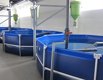 PVC TARPAULIN-FISH FARMING POND-LTTARP-CANOPY