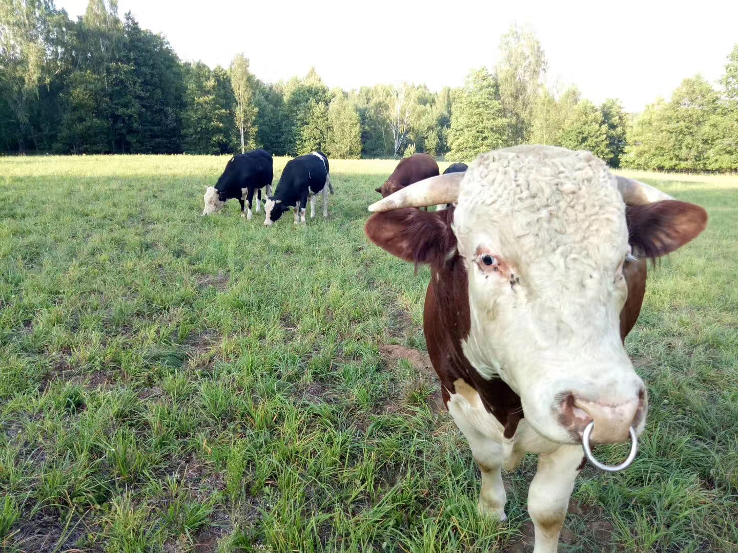 A business trip to agricultural and livestock farms to analyse the study and research tour routes