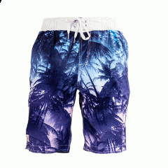 Men's Swim Trunks Quick Dry Beach Boardshorts Swimwear Bathing Suits Sportwear with Mesh Lining