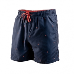 Maillots de bain pour hommes short de plage rapide et sec Boardshorts maillots de bain vêtements de sport avec doublure en maille