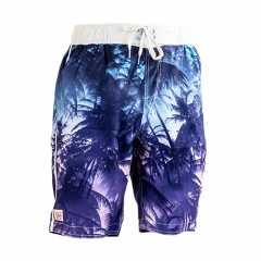 Men's Swim Trunks Quick Dry Beach Boardshorts Swimwear Bathing Suits Sportwear with Mesh Lining