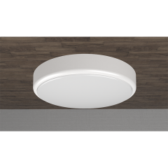 Flush Mount LED Ceiling Light