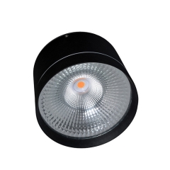 IP65 Cylinder 20W 30W Surface Mounted Led Downlight Outdoor Led Ceiling Lamp