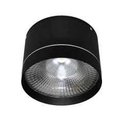 IP65 Cylinder 20W 30W Surface Mounted Led Downlight Outdoor Led Ceiling Lamp