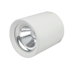 TANK Cylinder 10W 20W 30W 40W 50W Surface Mounted Led Ceiling Downlight