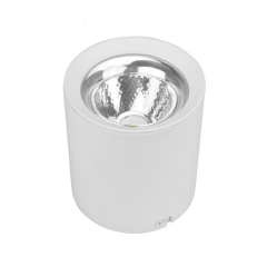 TANK Cylinder 10W 20W 30W 40W 50W Surface Mounted Led Ceiling Downlight