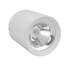 TANK Cylinder 10W 20W 30W 40W 50W Surface Mounted Led Ceiling Downlight