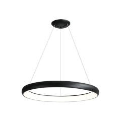 Ring Curved Pendant Lamp 450mm 600mm 800mm for Office, Home Lighting