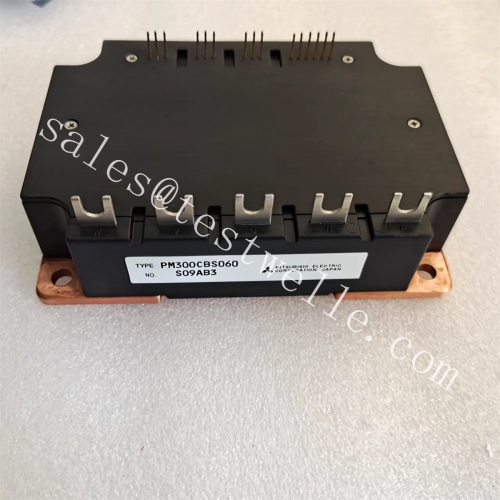 module IGBT factory PM300CBS060