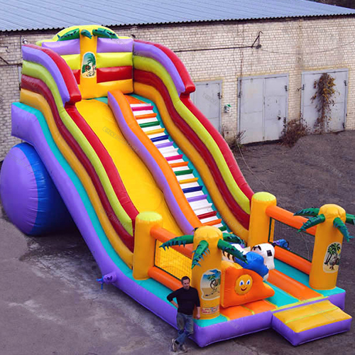 Giant Inflatable Slide