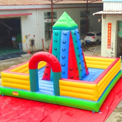 Children Climbing Wall