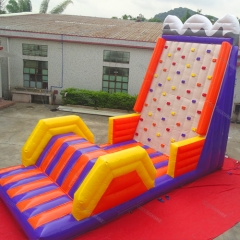 Inflatable Rock Climbing Wall