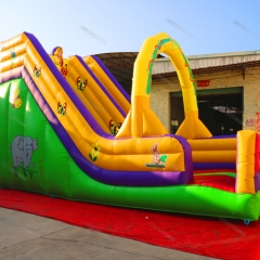 Cartoon Inflatable Dry Slide