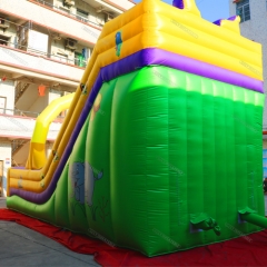 Cartoon Inflatable Dry Slide