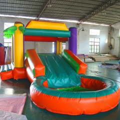 Tropical Bouncer Castle With Pool