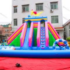 Giant Water Slide With Pool