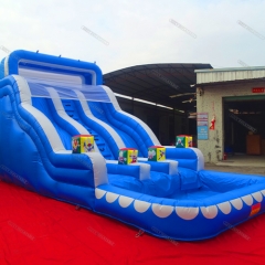 Inflatable Water Slide