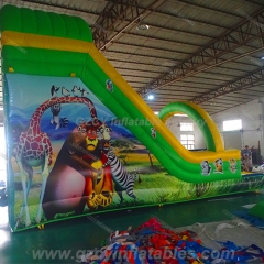Indoor Inflatable Slide