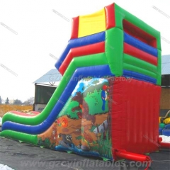 Outdoor Inflatable Dry Slide