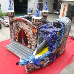 Castillos medievales de Bouncy con tobogán