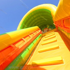 Jungle Slide Inflatable