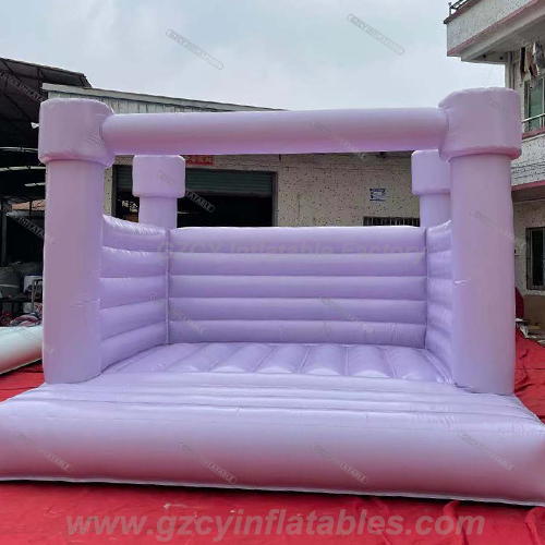 Purple Inflatable Bouncing Castle