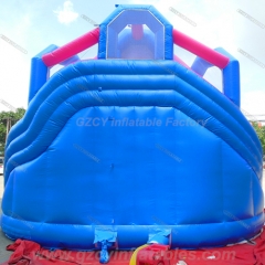 Frozen Water Slides Backyard Inflatable
