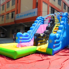 Princess Water Slides Backyard Inflatable