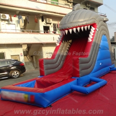 Multi Use Inflatable Slide
