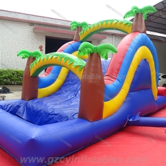 Tropical Water Slide