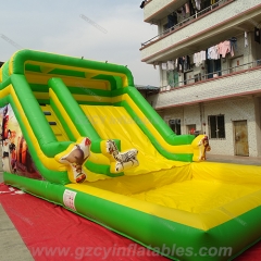 Madagascar Water Slide