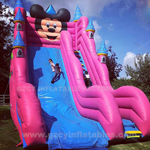 Commercial Giant Bouncy Castle Party Kids Amusement Park Theme Park Dry Slide