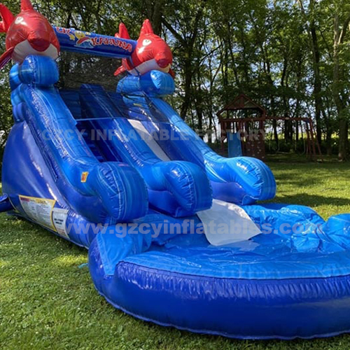 Giant water slide backyard inflatable slide with swimming pool