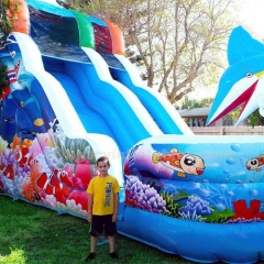 Commercial Children's Underwater World Inflatable Water Slide, Inflatable House Slide Swimming Pool
