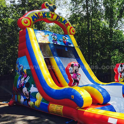 Mickey Mouse Inflatable Water Slide with Pool