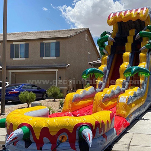 Giant Outdoor Dual Slide Water Slide