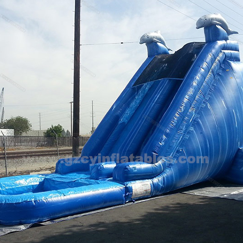 High Quality Kids Water Slide Blue Double Dolphin Inflatable House Slide Swimming Pool