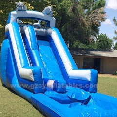 Little Dolphin Jump Castle Inflatable Water Slide