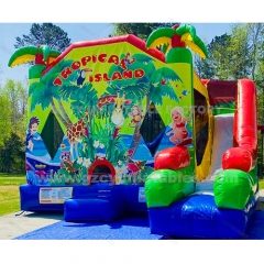 Tropical Island Combo dry slide