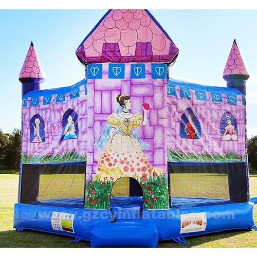 Princess Jumping Castle for kids