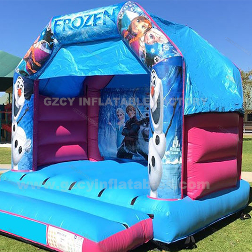 Frozen Bouncer House Inflatable Jumping Combo Castle