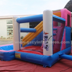 PVC Inflatable Slide Inflatable Water Slide with Pool