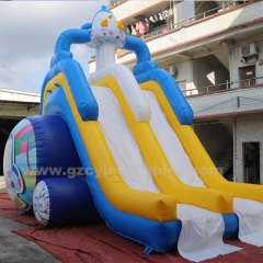 Commercial Kids Inflatable Penguin Slide With Pool