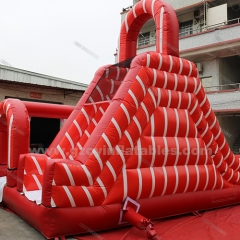 Commercial Grade Giant Inflatable Water Slide with Pool